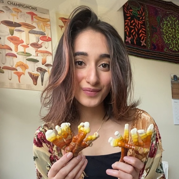 Meet your Posher, Pri - Picture 1 of 1